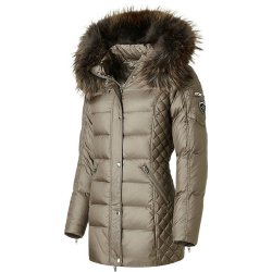 BEAM MID FUR-MUD/GREYISH